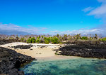 Beach in the Dragon Hill area, Santa Cruz (Indefatigable) Island, Galapagos, UNESCO World Heritage Site, Ecuador, South America