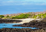 Landscape of the Dragon Hill area, Santa Cruz (Indefatigable) Island, Galapagos, UNESCO World Heritage Site, Ecuador, South America