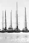 Moored boats in the port of Carloforte, San Pietro Island, Sud Sardegna province, Sardinia, Italy, Mediterranean, Europe