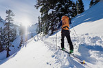 Cross-country skier moving along sunny snow covered track on sunny, idyllic mountainside