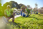 Volunteers planting trees in sunny park