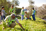 Volunteers planting trees in sunny park