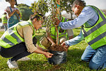 Volunteers planting tree in park