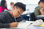 Junior high school boy student doing homework in classroom