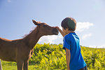 Kid Playing with Horse