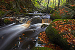 The Burbage Brook flowing through Padley Gorge, Peak District National Park, Derbyshire, England, United Kingdom, Europe