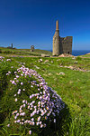 The ruins of Wheal Owles tin mine on the cliff tops near Botallack, Cornwall, England, United Kingdom, Europe