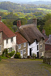 Classic English cottages besides the cobbled street of Gold Hill, Shaftesbury, Dorset, England, United Kingdom, Europe