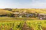 The vineyards of Sancerre, known for fine wines from grape varieties such as pinot noir and sauvignon blanc, Sancerre, Cher, Centre-Val de Loire, France, Europe
