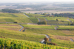 The vineyards of Sancerre, known for fine wines from grape varieties such as pinot noir and sauvignon blanc, Sancerre, Cher, Centre-Val de Loire, France, Europe