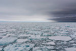 Floating pieces of pack ice, Polar Ice Cap, 81north of Spitsbergen, Norway