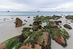 Sandy beach with stones, Plage de Ruscumunoc, Plouarzel, Finistere, Brittany, France