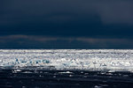 Sunlit ice floe seascape, Erik Eriksenstretet strait separating Kong Karls Land from Nordaustlandet, Svalbard Islands, Norway