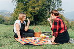 Friends having picnic, Rezzago, Lombardy, Italy