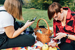 Friends texting at picnic, Rezzago, Lombardy, Italy