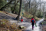 Mother and two sons walking and playing by woodland road, rear view