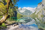 Watzmann Mountain reflecting in Lake Obersee, near lake Koenigssee, Berchtesgadener Land, Berchtesgaden National Park, Upper Bavaria, Bavaria, Germany, Europe