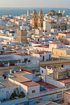 View from Torre Tavira of white houses in Cadiz, Spain, Europe