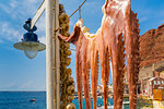 Octopus hung up to dry in harbour of Oia village, Santorini, Cyclades, Aegean Islands, Greek Islands, Greece, Europe