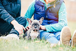 Children playing with puppy on grass