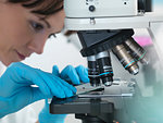 Medical testing of variety of human samples including blood and tissue under microscope in laboratory