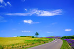 Hokkaido in Summer