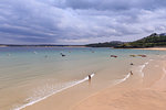 St Ives beaches, popular seaside resort in hot weather, Summer, Cornwall, England, United Kingdom, Europe