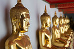 Seated Golden Buddha statues in a row at Wat Pho (Wat Phra Chetuphon) (Temple of the Reclining Buddha), Bangkok, Thailand, Southeast Asia, Asia