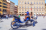 Horse carriage on Piazza della Signoria, Florence; Tuscany; Italy; Europe