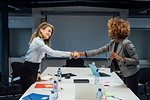 Business partners shaking hands at meeting in office