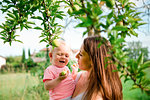 Mother carrying toddler daughter under fruit tree, head and shoulder, Arezzo, Tuscany, Italy