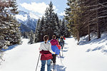 Mature couple and daughters snowshoeing in snow covered mountain landscape, rear view, Styria, Tyrol, Austria