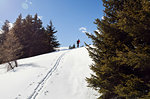 Mature male snowshoeing up snow covered mountain landscape, distant rear view, Styria, Tyrol, Austria