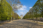 Scenic view of tree lined Jardin des Tuileries and Louvre Museum, Paris, France