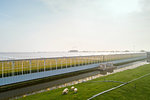 Greenhouse in the Westland area, part of Netherlands with large concentration of greenhouses, elevated view, Maasdijk, Zuid-Holland, Netherlands