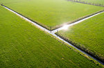 Ditch between pastures in the dutch countryside, aerial view, Leusden-Zuid, Utrecht, Netherlands