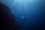 Giant Oceanic manta ray, Revillagigedo Islands, Socorro, Baja California, Mexico