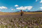 Hiker exploring meadow, Wanaka, Taranaki, New Zealand