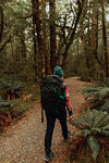 Hiker exploring forest, Queenstown, Canterbury, New Zealand