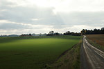 Rural road by field