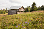 Wooden barn in field