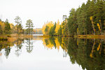 Autumnal forest by lake in Lotorp, Sweden