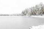 Forest by frozen Stora Skiren lake in Finspang, Sweden