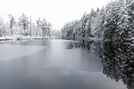 Ice on lake by snow covered trees in Lotorp, Sweden