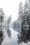 Forest lake with trees covered by snow in Lotorp, Sweden