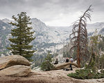 Men sitting on log in Sequoia National Park in California