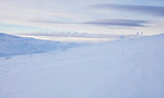 Markers in snow