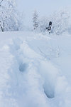 Footprints in snow