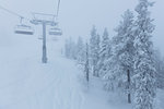 Ski lift by snow covered trees