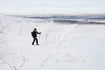 Man skiing by snow covered trees